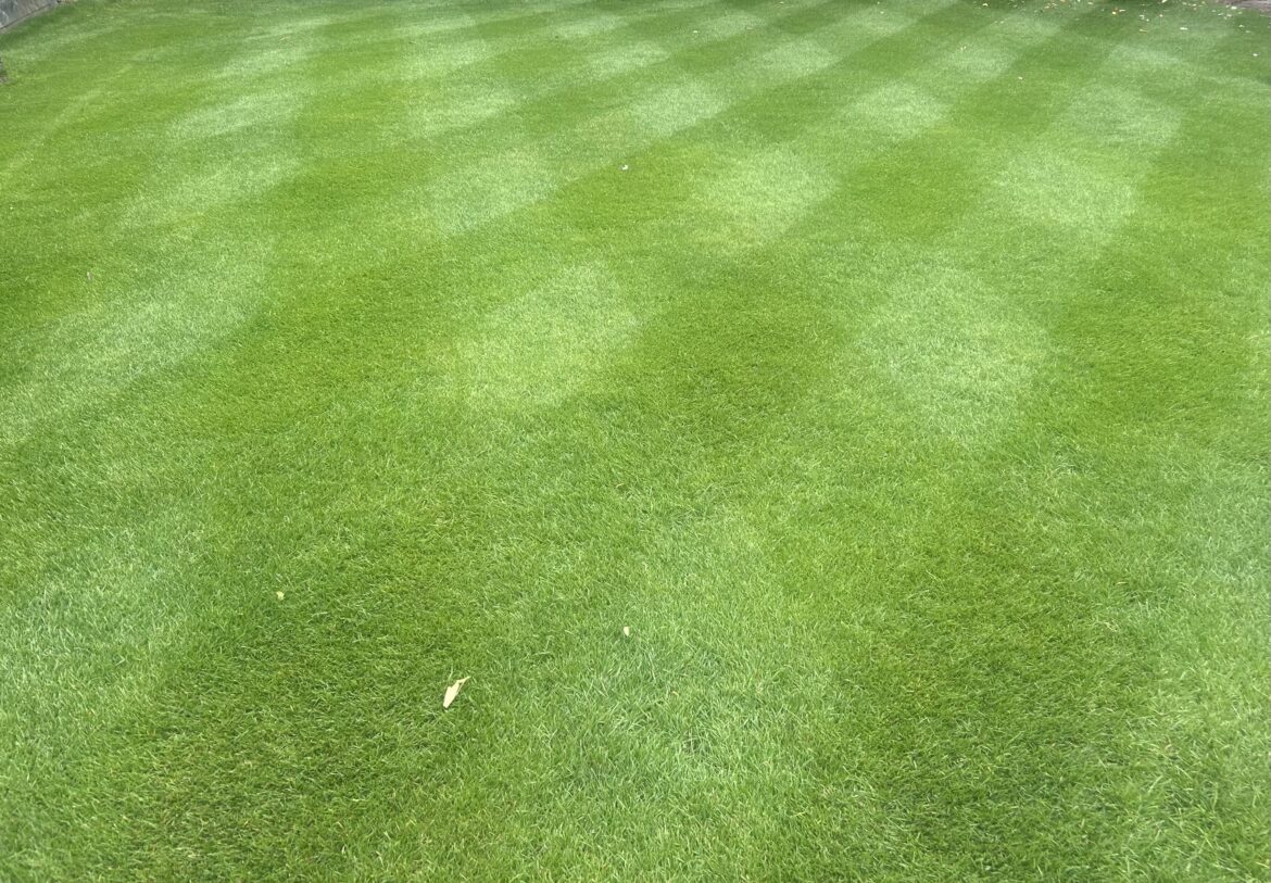 Does anyone actually plan annual nitrogen totals, or am I overthinking lawn care?