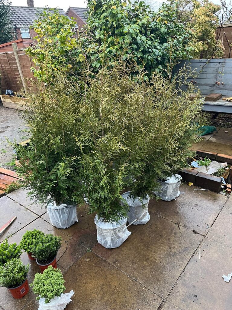 Will these survive? Will these survive?