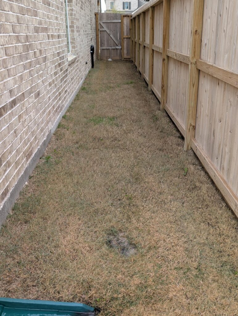 HOUSTON Tx - What can I do to kill these types of weeds on the side of my house?