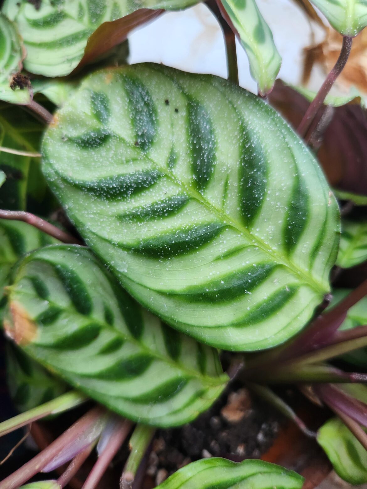 What is this and what do I do?