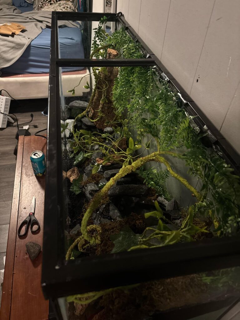 What kind of critters can I put in here?