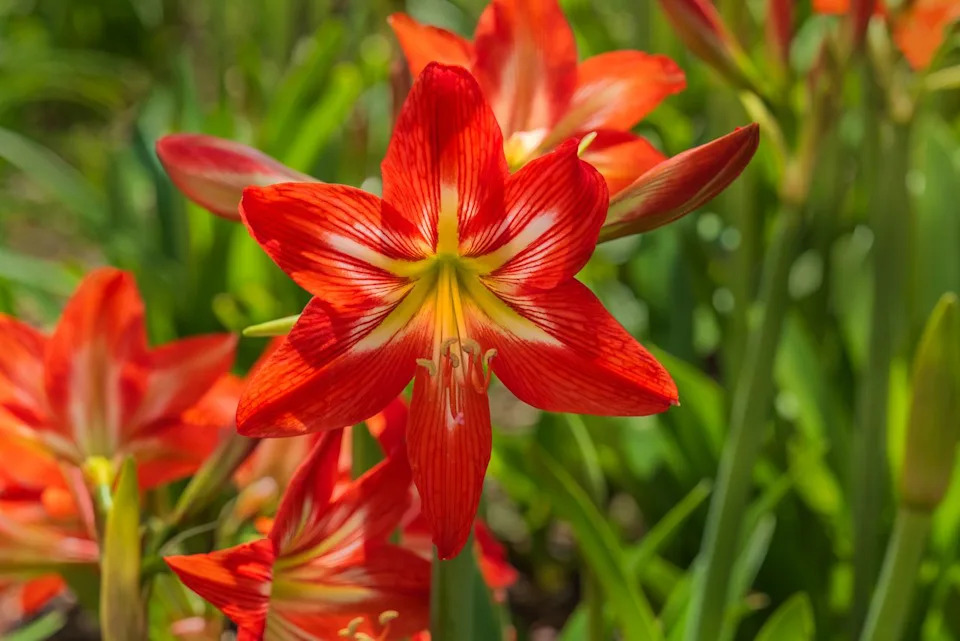 Credit: Photo by: Larry Mingledorff / 500px / Getty Images