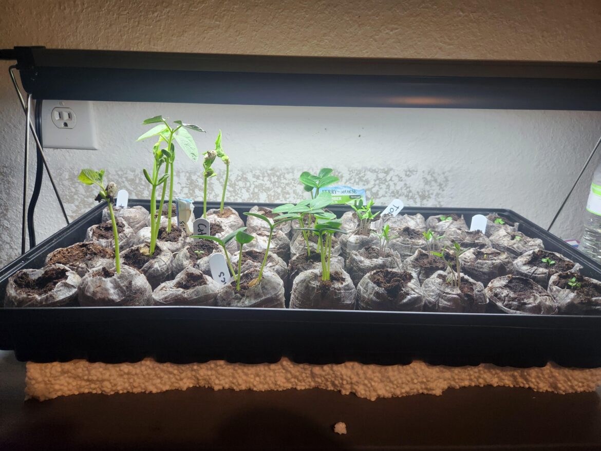 Newbie help