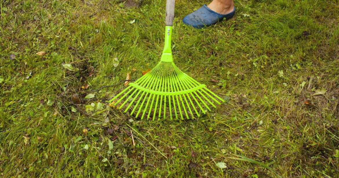 Three February gardening jobs that can ‘make or break’ your blooming spring garden