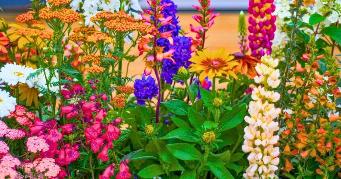 Gardener names 5 bulbs to plant in February for the ‘best looking' spring garden