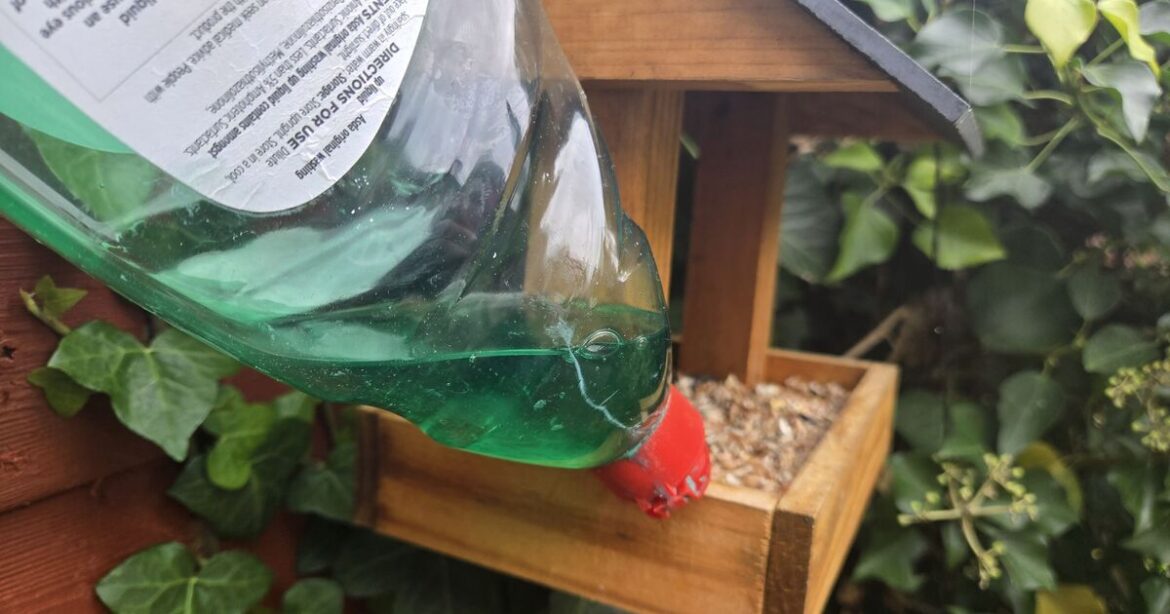 Gardeners urged to put washing up liquid on bird tables