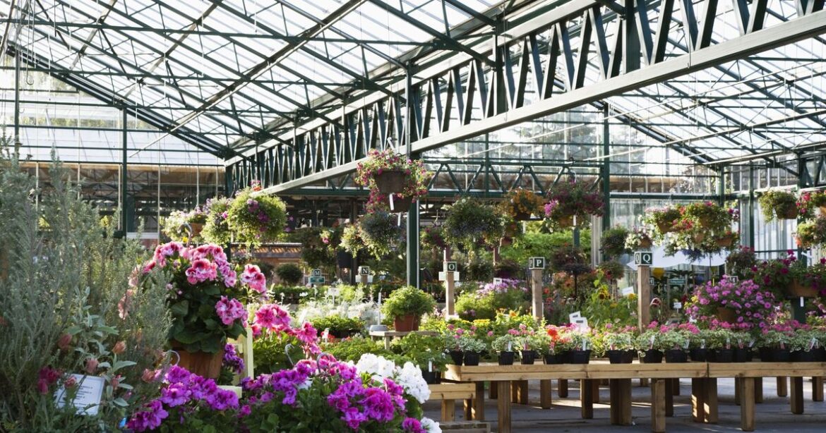 Beloved UK garden centre set to close in 'sad loss' for locals