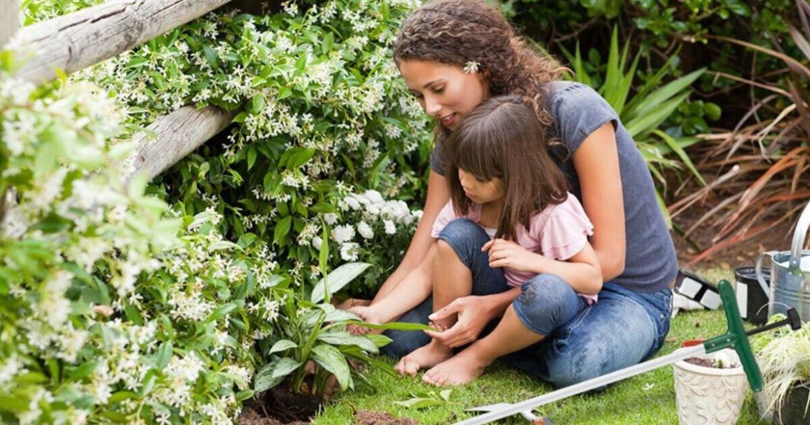 Gardener praises weed puller with 'deep root extraction'