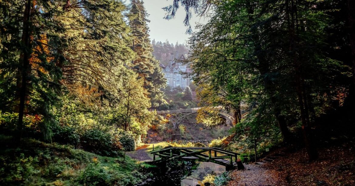 ‘Magical’ National Trust day out has ‘fantasy garden’ and ’40-miles of 'Magical' National Trust day out has 'fantasy garden' and '40-miles of