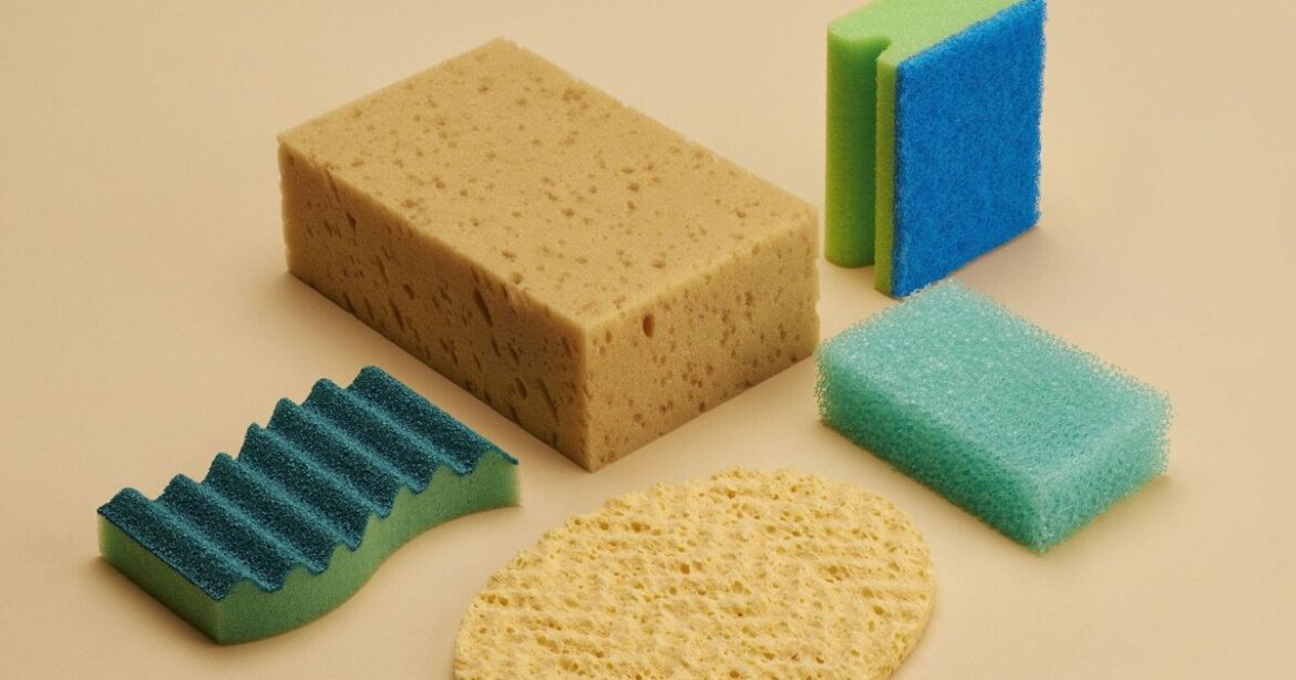 Gardeners urged to put washing up sponges in garden in February