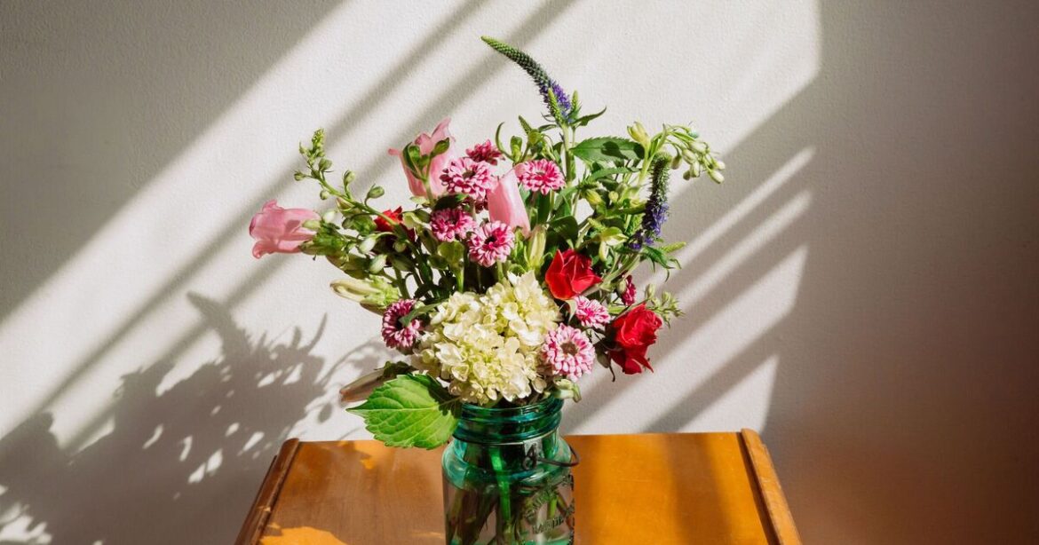 How to make flowers bloom for longer using 2 kitchen ingredients How to make flowers bloom for longer using 2 kitchen ingredients