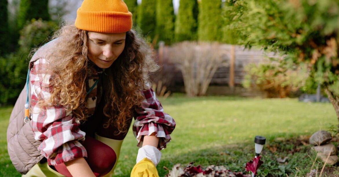 'Don't leave' warning for gardeners as mistake 'destroys' plants