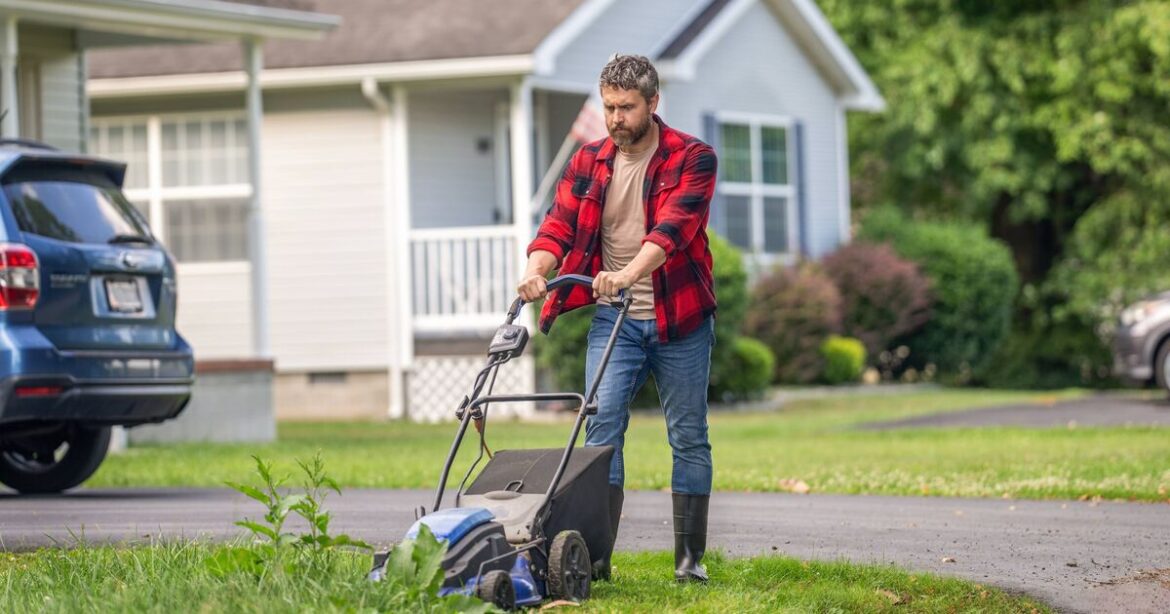 'Don't cut grass until this date and then use specific technique'