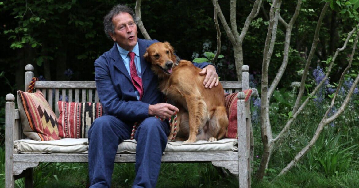 £10 gardening must-have that will help stop Monty Don knee problem