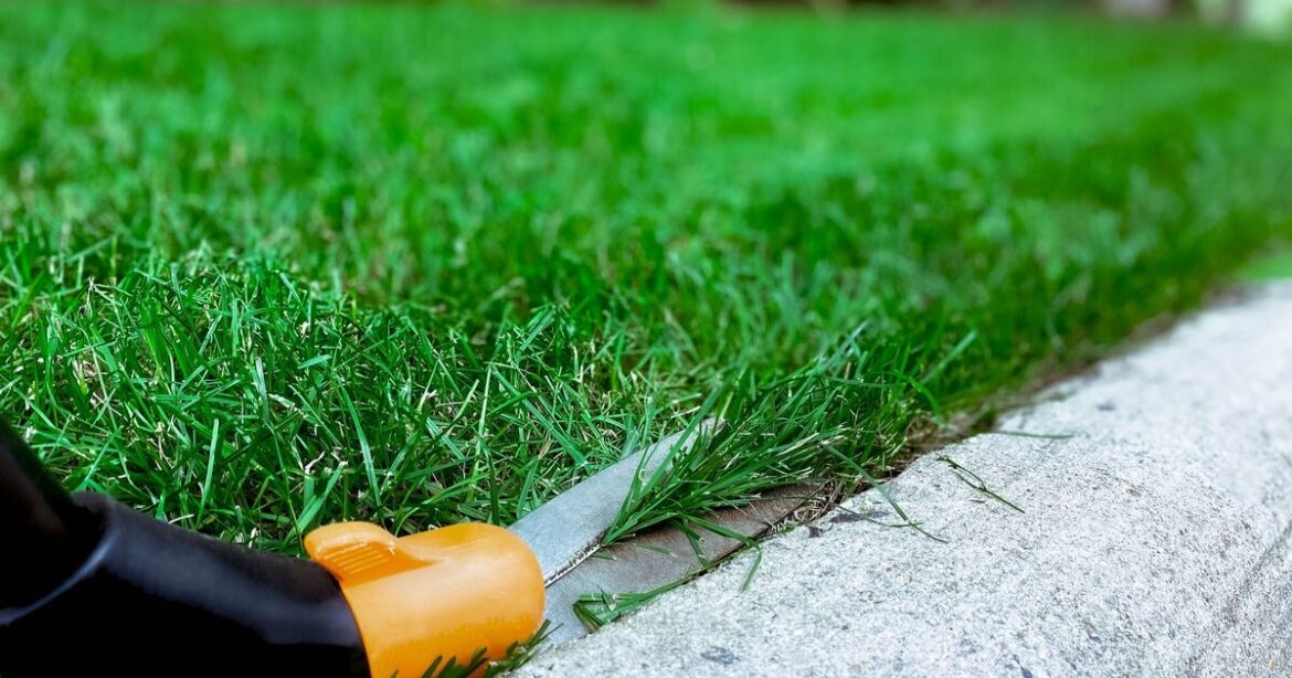 Gardeners urged to do 1 lawn task before March
