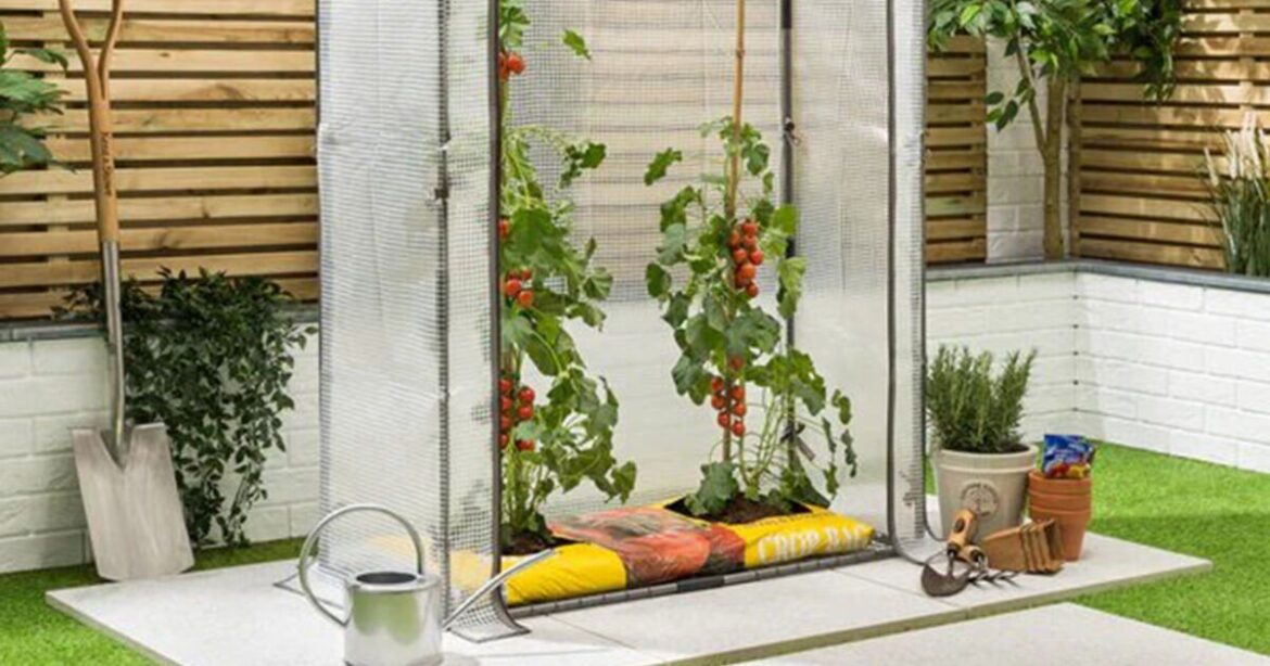 ‘Sturdy’ tomato growhouse now under £35 at Christow 'Sturdy' tomato growhouse now under £35 at Christow
