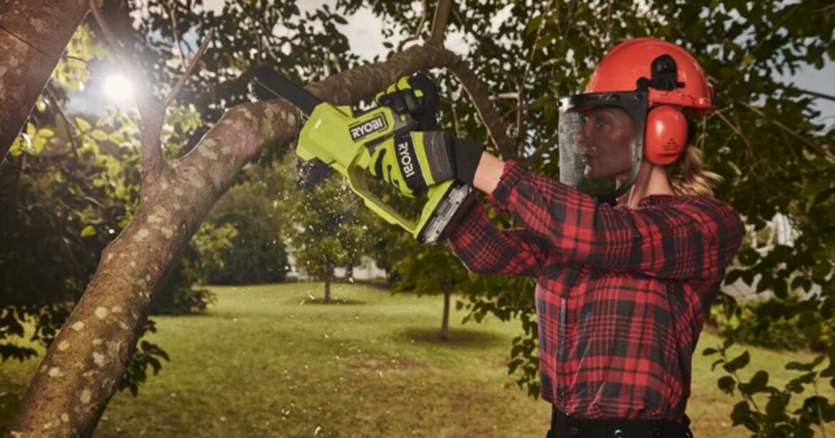 ‘I paid £85 for tree pruning’ but £100 tool lets them do it themselves ‘I paid £85 for tree pruning’ but £100 tool lets them do it themselves