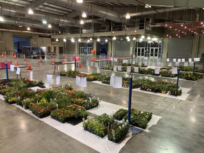 Tulsa Master Gardeners plant sale