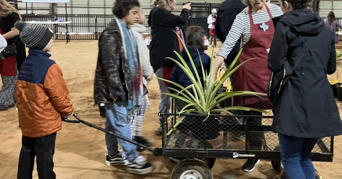 Master Gardeners to hold Valentine’s Day tree sale | Community Master Gardeners to hold Valentine's Day tree sale | Community