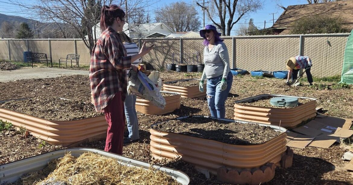 Fruits of their labor: Tehachapi Community Garden provides hundreds of pounds of fresh food to the region | Lifestyle