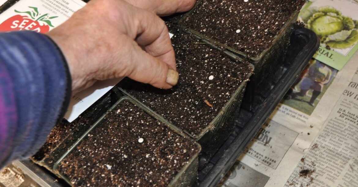 Time to start seeding this year's vegetables