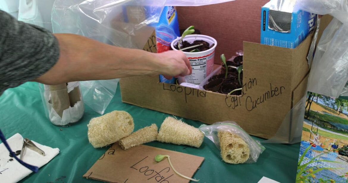 Master Gardeners hold seed swap ahead of plant sale | News Master Gardeners hold seed swap ahead of plant sale | News