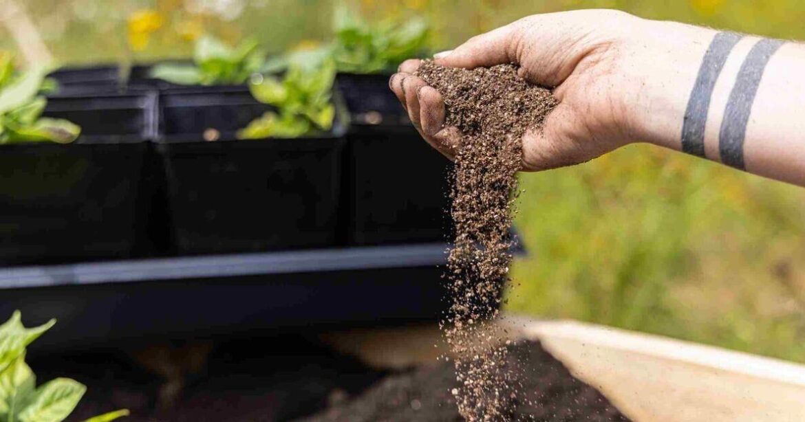Ask a Master Gardener: How do I prepare garden beds the natural way? | Farm and Garden