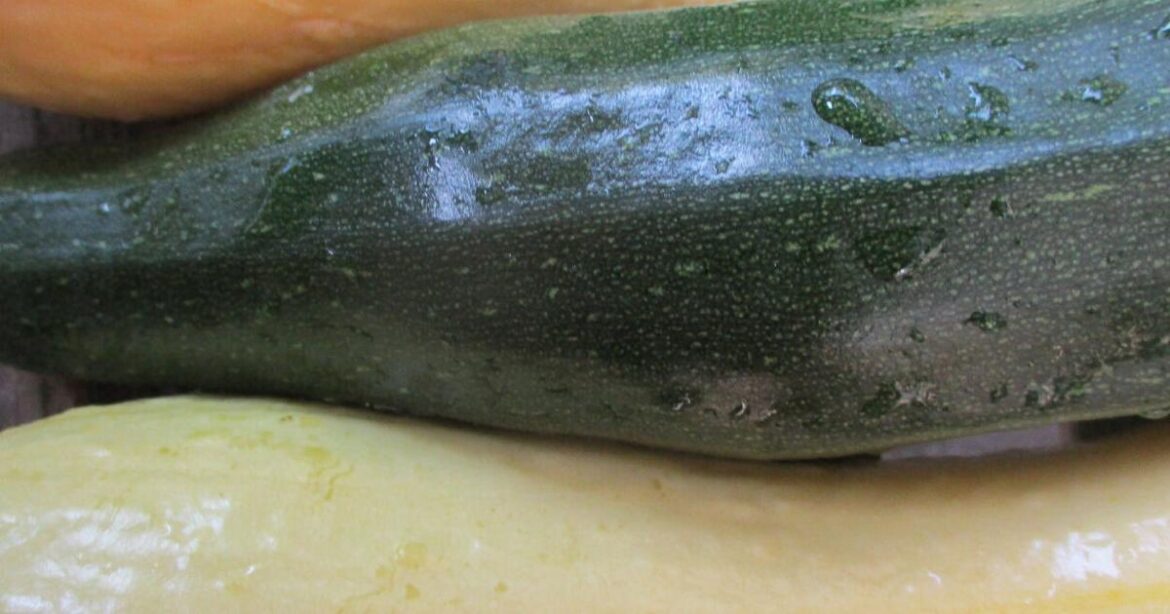 Warm season vegetables are next | Tony Tomeo | Home & Garden Warm season vegetables are next | Tony Tomeo | Home & Garden