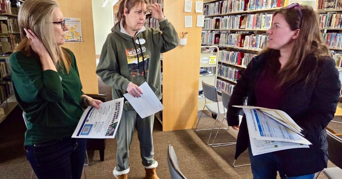 'Intro to Gardening' draws growing amount of interest in second year | Life