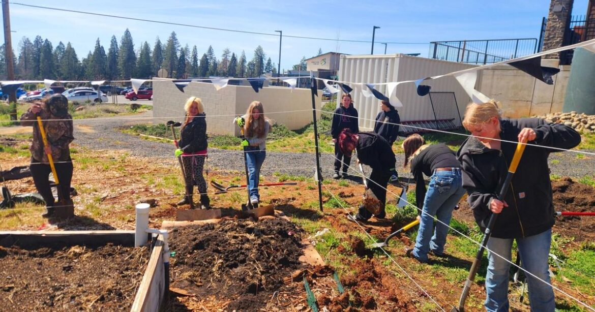 Local schools in Butte County expand garden initiatives | News Local schools in Butte County expand garden initiatives | News