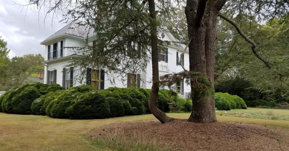 GARDEN GUIDE: Overplanting Foundations: How to plant trees and shrubs better in your garden | Archives