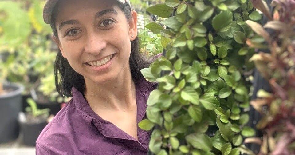 SFA Gardens lecture to feature plants available at spring plant sale | News SFA Gardens lecture to feature plants available at spring plant sale | News