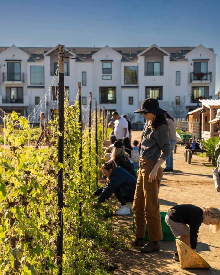 Residents stand in a community garden in front of a building of apartments