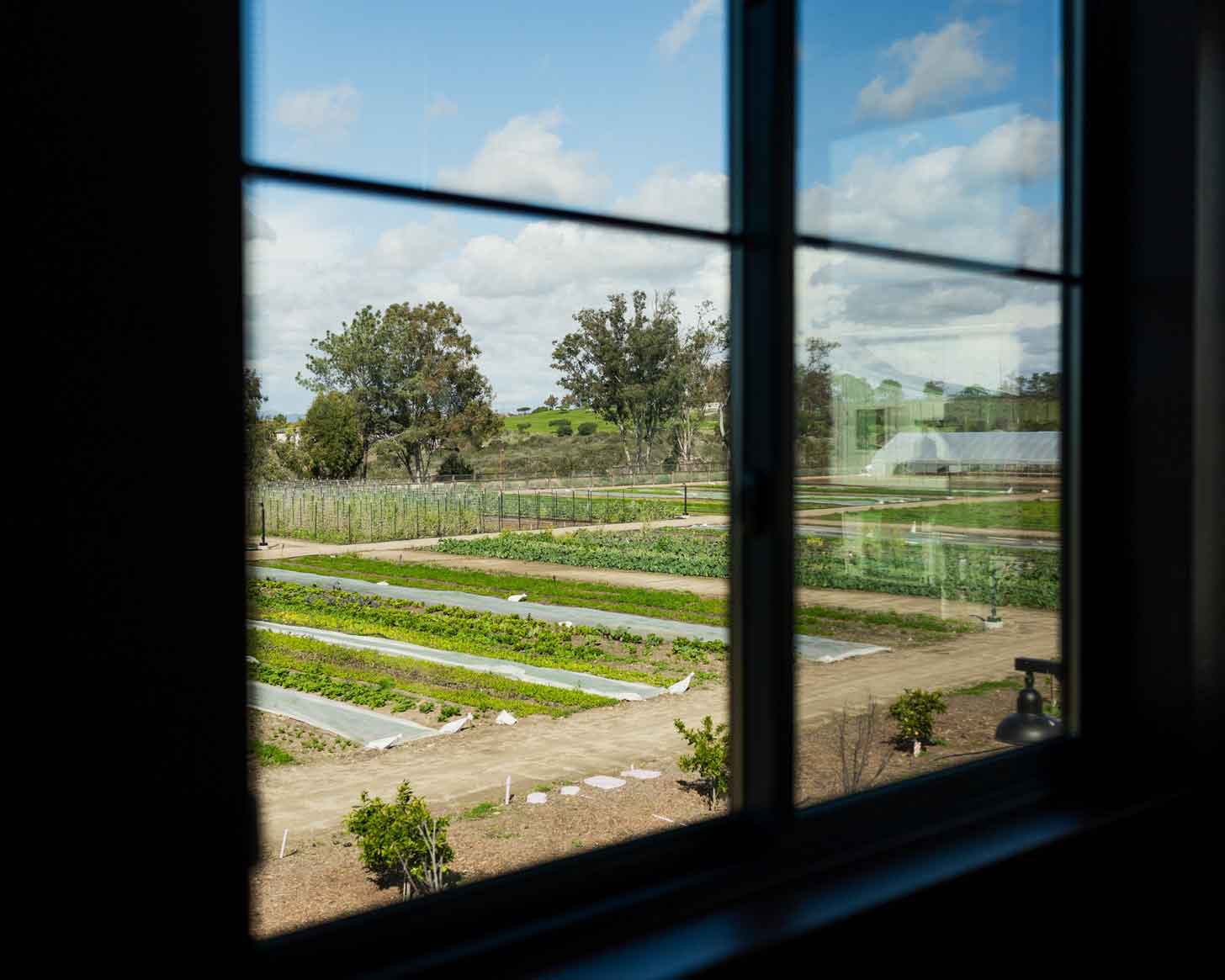 A view from inside a window overlooking a farm 