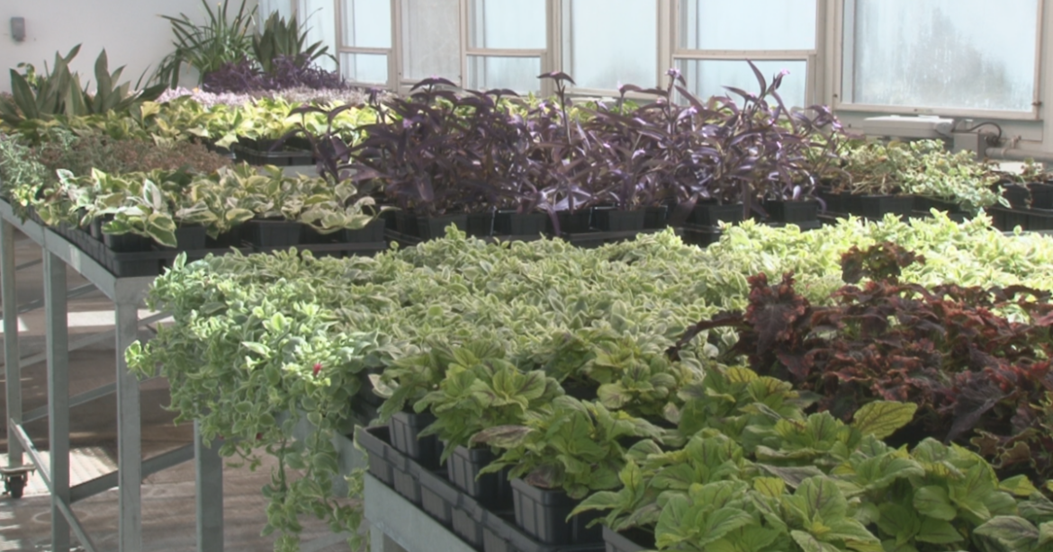 Botanic Gardens First Greenhouse Tour | Community Botanic Gardens First Greenhouse Tour | Community