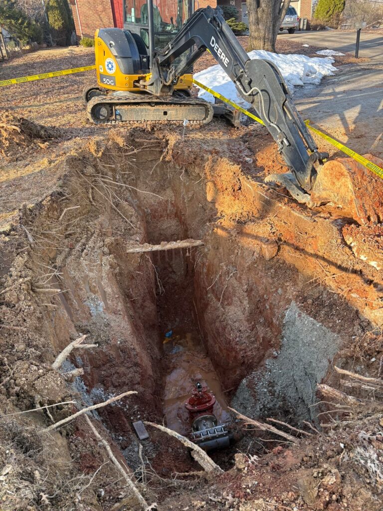 City digging under my tree City digging under my tree