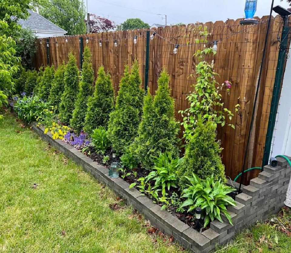 One Redditor shared their side flower garden's progress over three years.