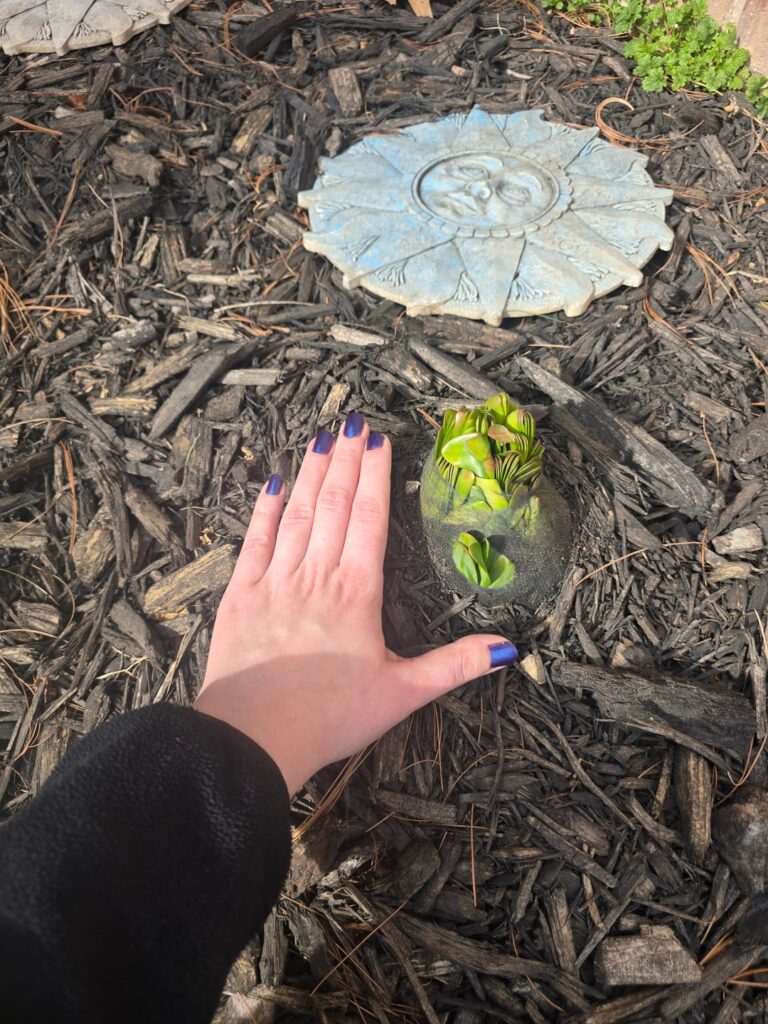 I am stumped trying to figure this out