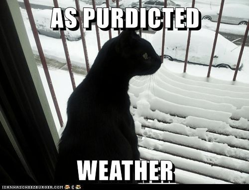 6b8a9bb1fba5b57ed6912a8846beecb9.jpg 6b8a9bb1fba5b57ed6912a8846beecb9.jpg