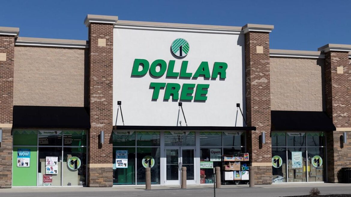 11 Dollar Tree Spring Items the Middle Class Needs To Buy for Under $20