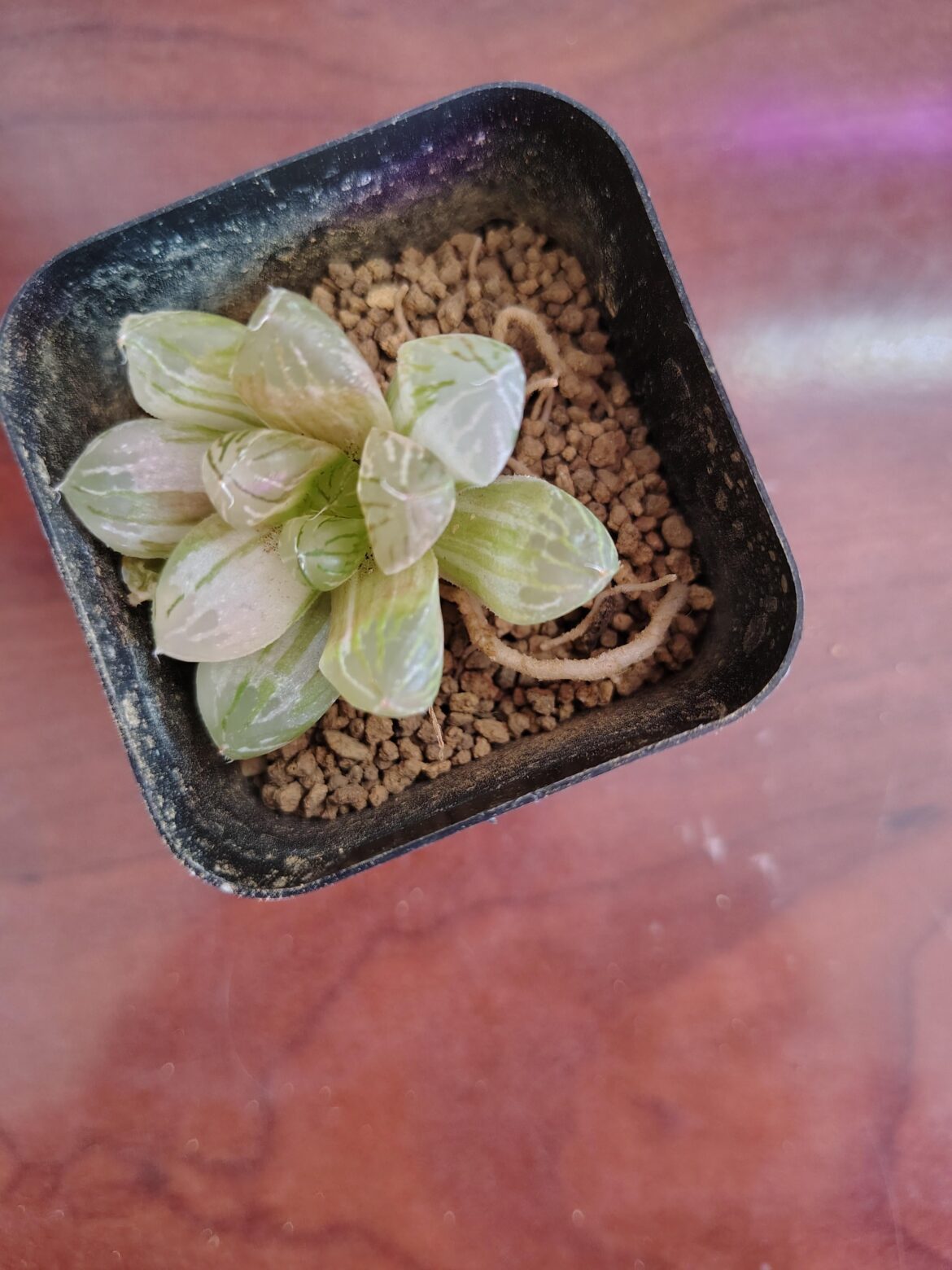 What is this medium?