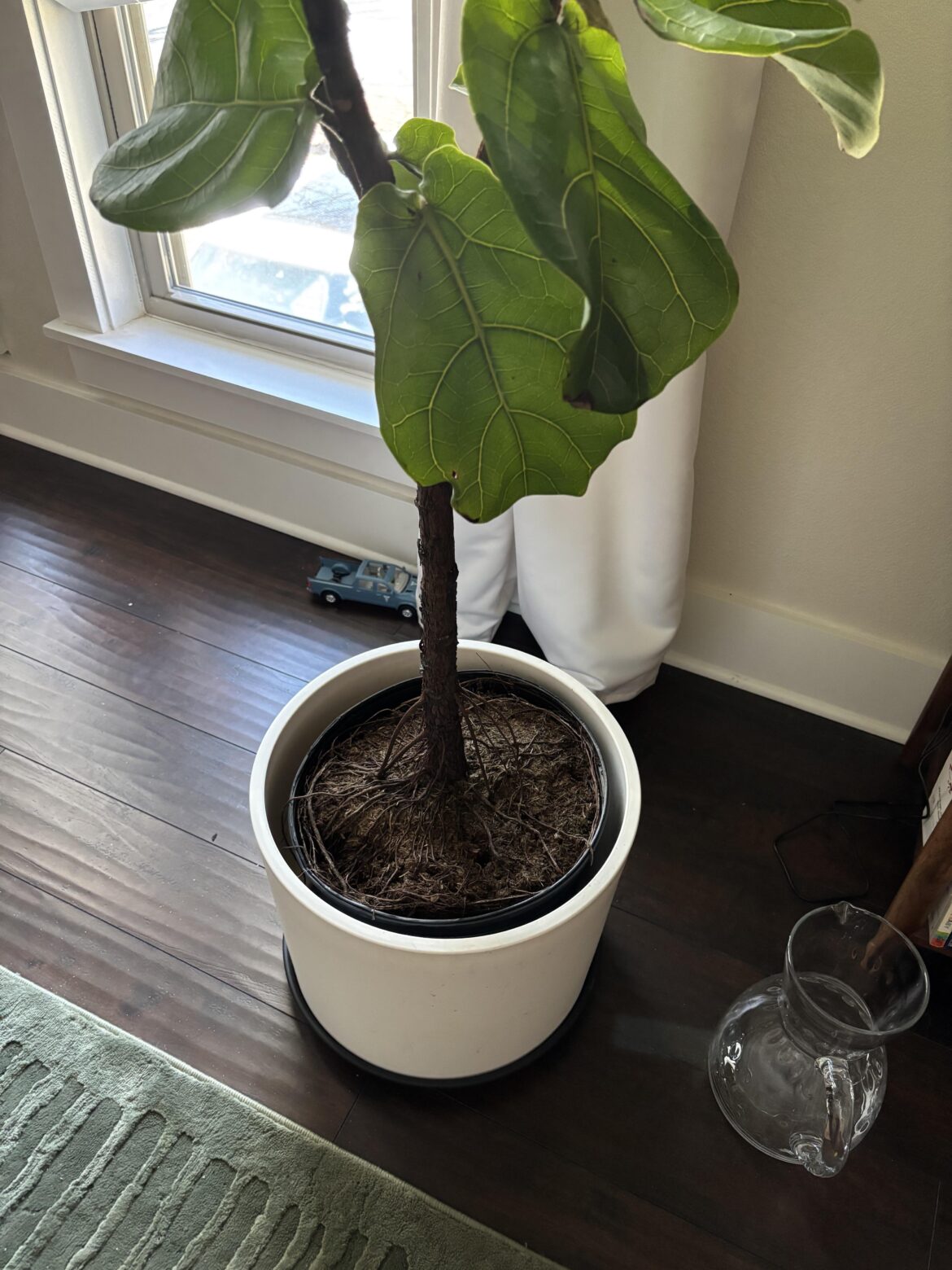 Need help deciding what to do here