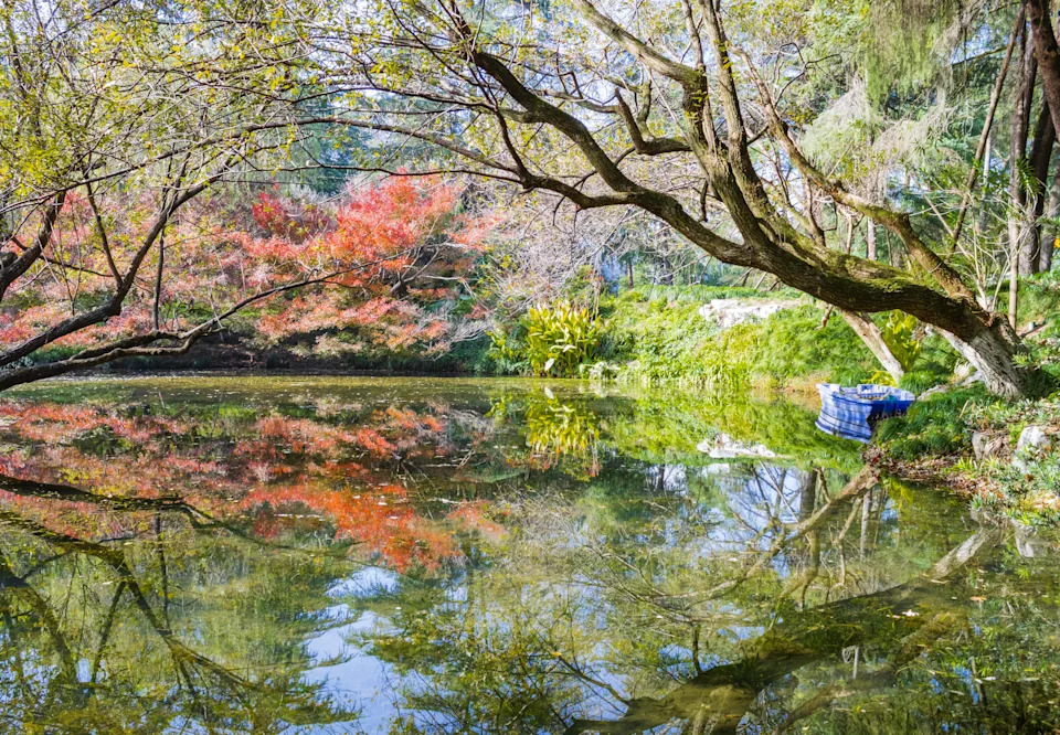 Autumn landscape of a Chinese park. China. Hangzhou.
