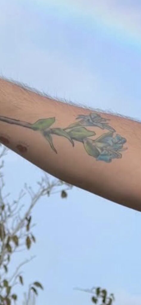 sentimental sentimental