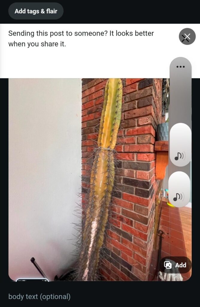 He is chained up for a reason!!!!!111!!!!!!