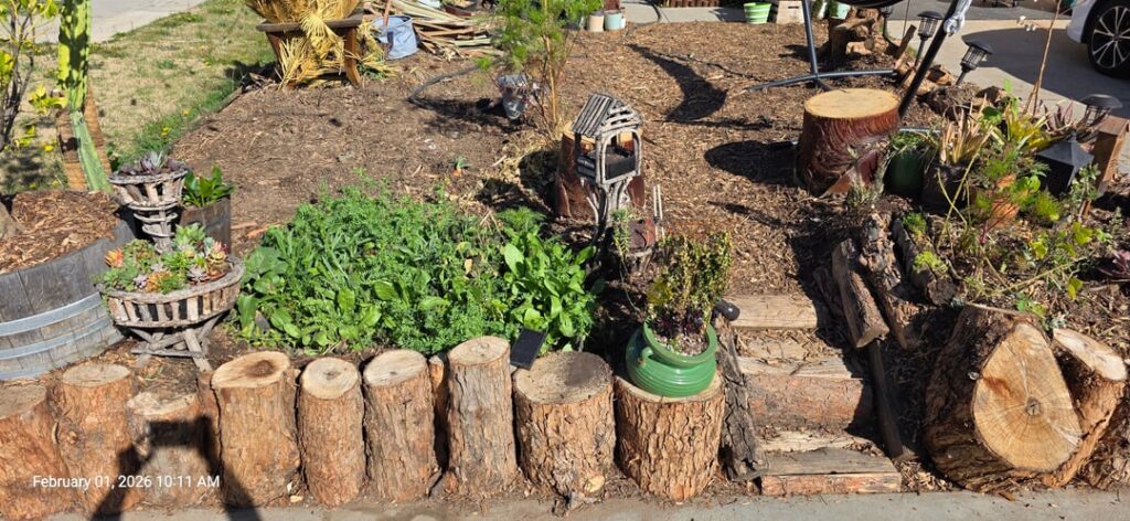 Chaos Garden Vegi Patch ID