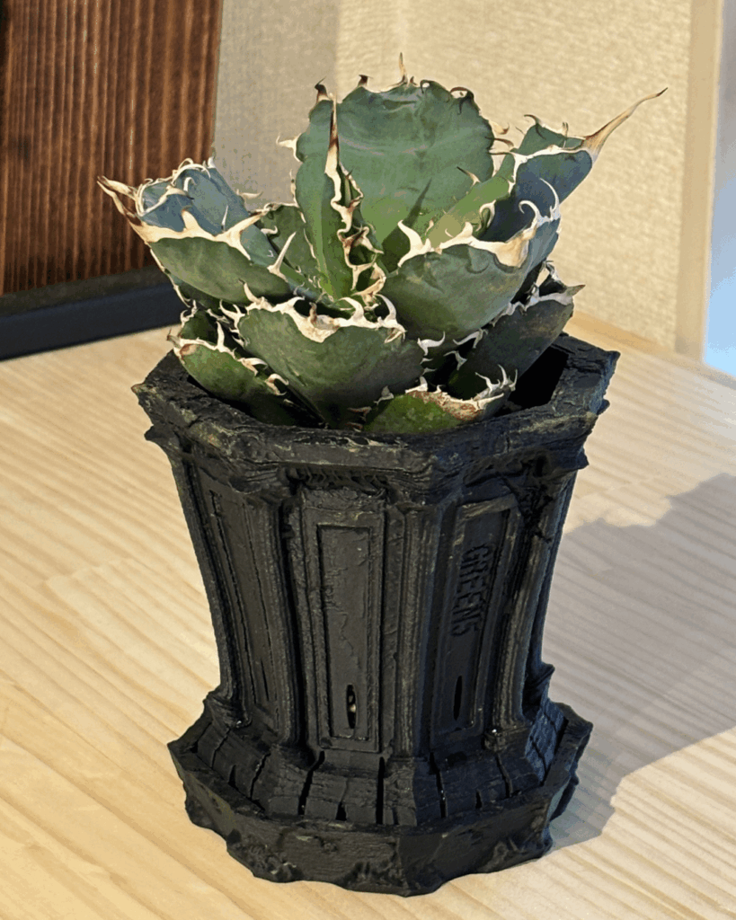 My agave finally has a pot that matches its energy