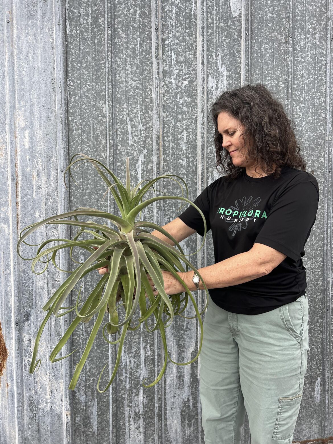 Another one of our monstrous plants