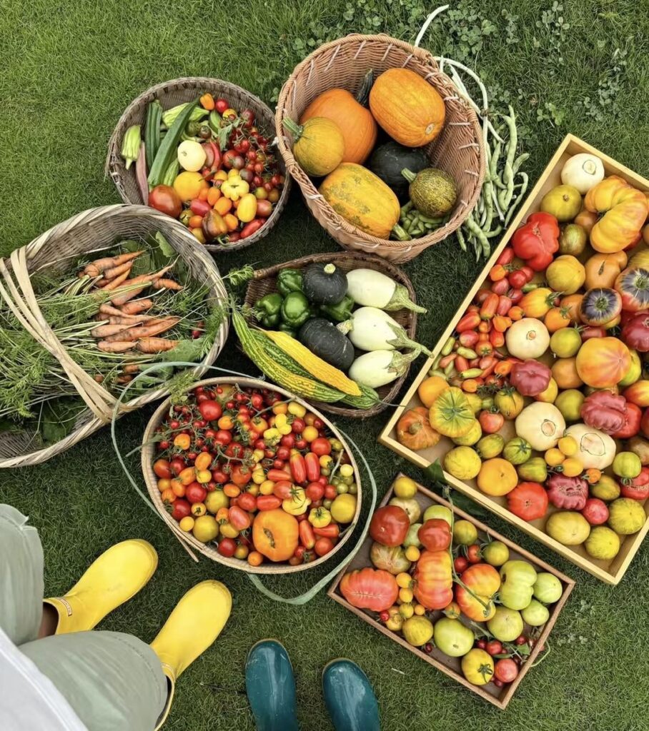 Spent the afternoon at a friend’s homestead