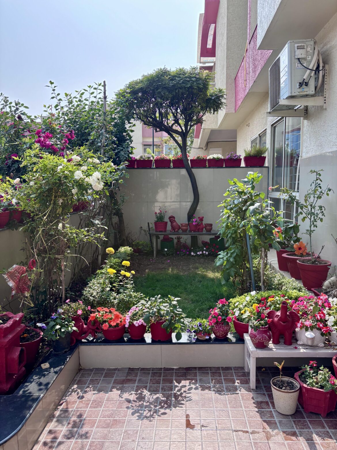 Rate my small garden and please suggest how can I improve